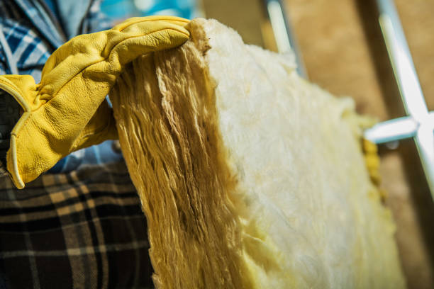Best Energy-efficient Insulation  in Darlington, WI